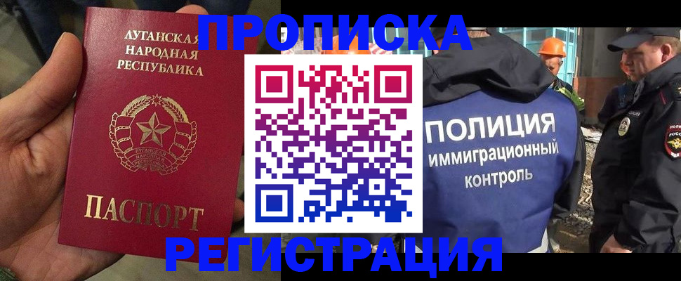 прописка поиск в Мончегорске